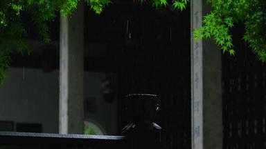江南雨季<strong>中式园林</strong>屋檐雨滴空镜